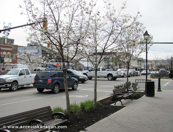 Blossoms in Downtown Vernon